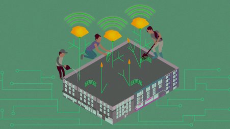 A group of three people tending to an electronic-themed garden bordered by building facades. The garden has flowers beaming signals and circuitry for roots.