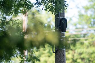 A flock camera mounted on a utility pole, seen through the leaves of a tree.