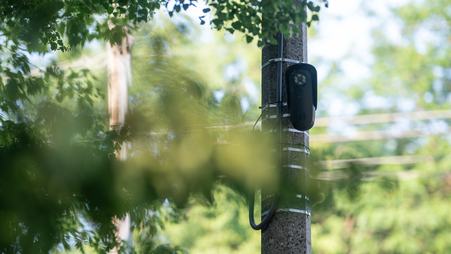 A flock camera mounted on a utility pole, seen through the leaves of a tree.