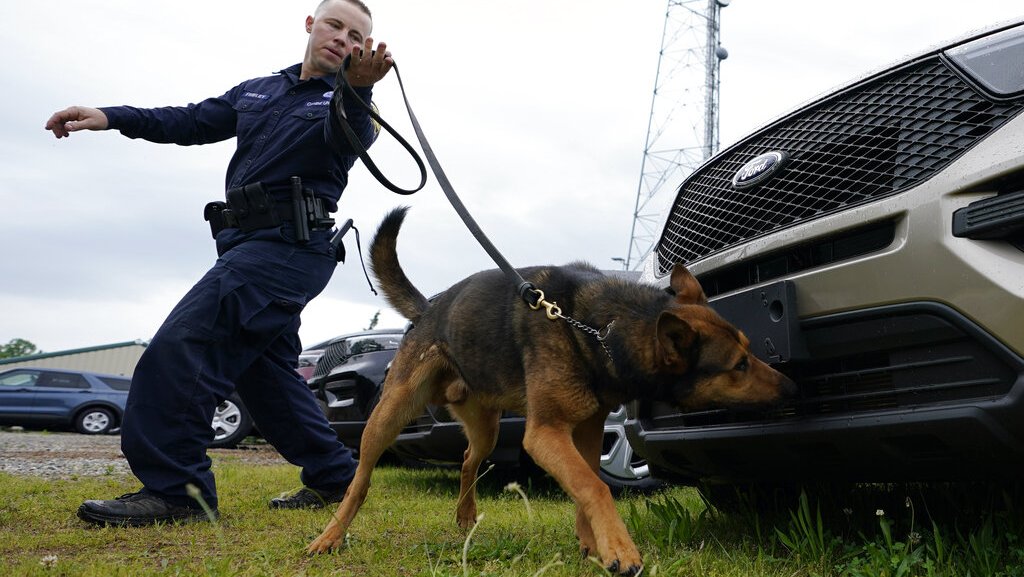 A police officer with a leashed drug sniffing dog inspecting the front of a Ford SUV.