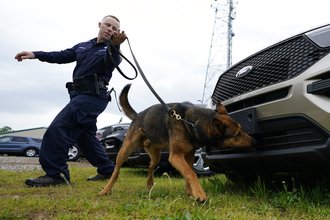 AP Photo/Steve Helber - AP21130518711079