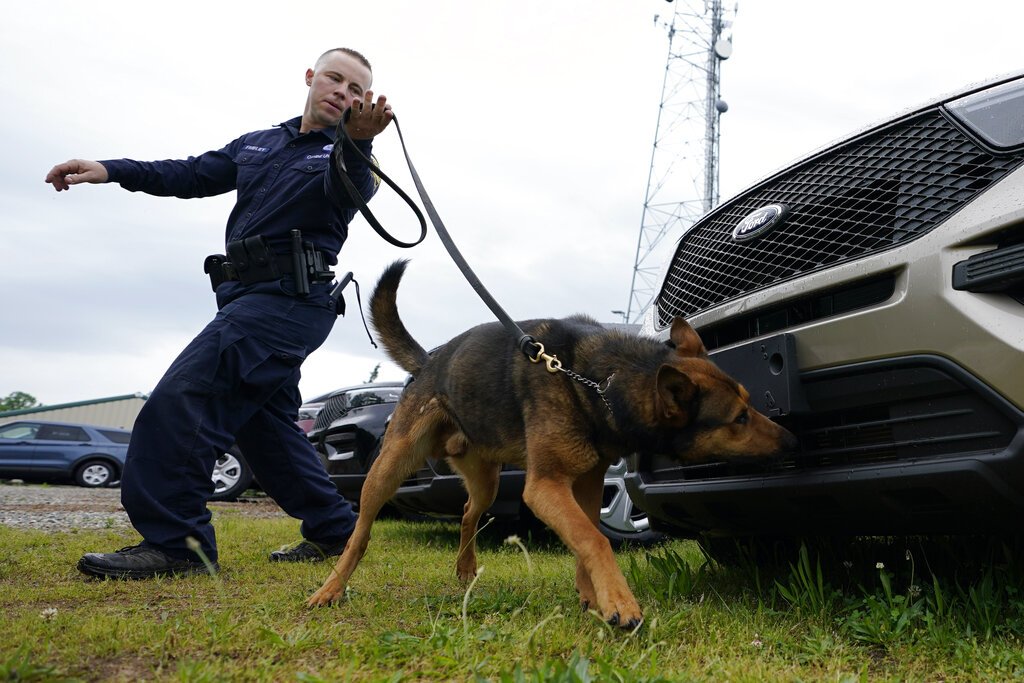 ABD Adalet Bakanlığı haberleri kaçak mal olarak görüyor