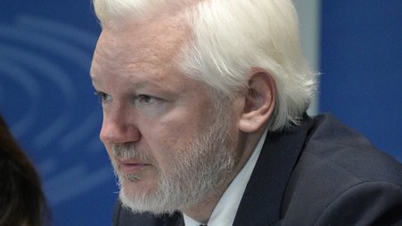 WikiLeaks founder Julian Assange addresses the Council of Europe in October.