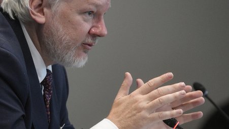 WikiLeaks founder Julian Assange addresses the Council of Europe in Strasbourg, France, on Oct. 1, 2024.