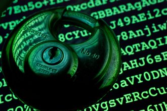 A sample public key of the encryption software GnuPG, an open source version of the PGP encryption program.