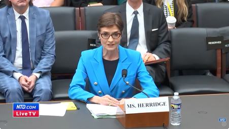 Reporter Catherine Herridge at a House Judiciary Committee Hearing in April 2024
