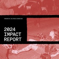 Screenshot of the cover page of the 2024 impact report, depicting a journalist being knocked down by a New York City police officer