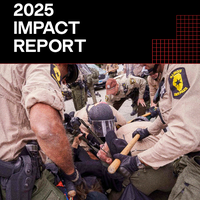 Screenshot of the cover of the 2025 impact report