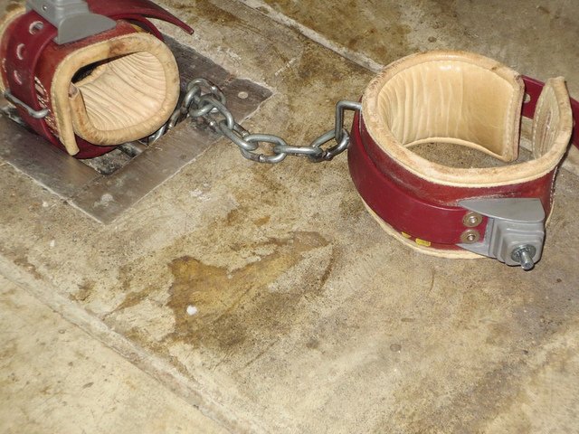 Shackles.jpg