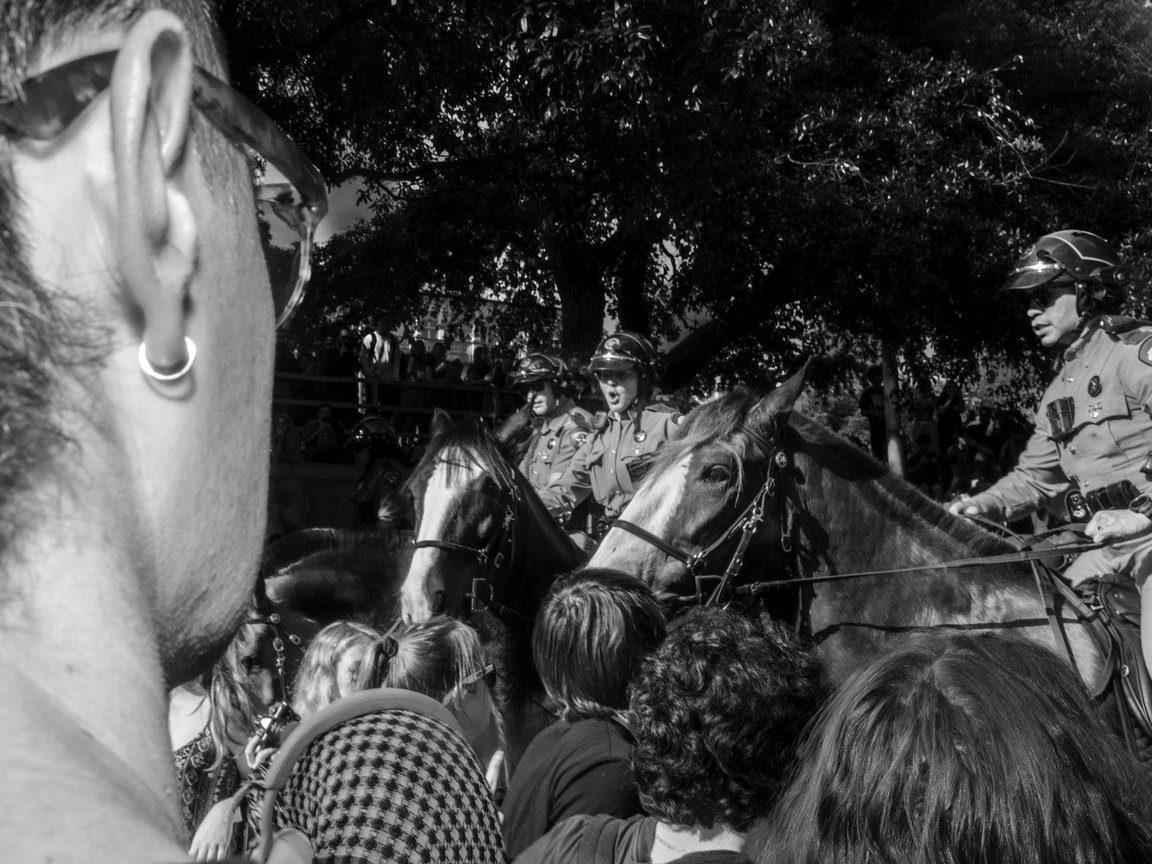Cops on horseback in a crowd