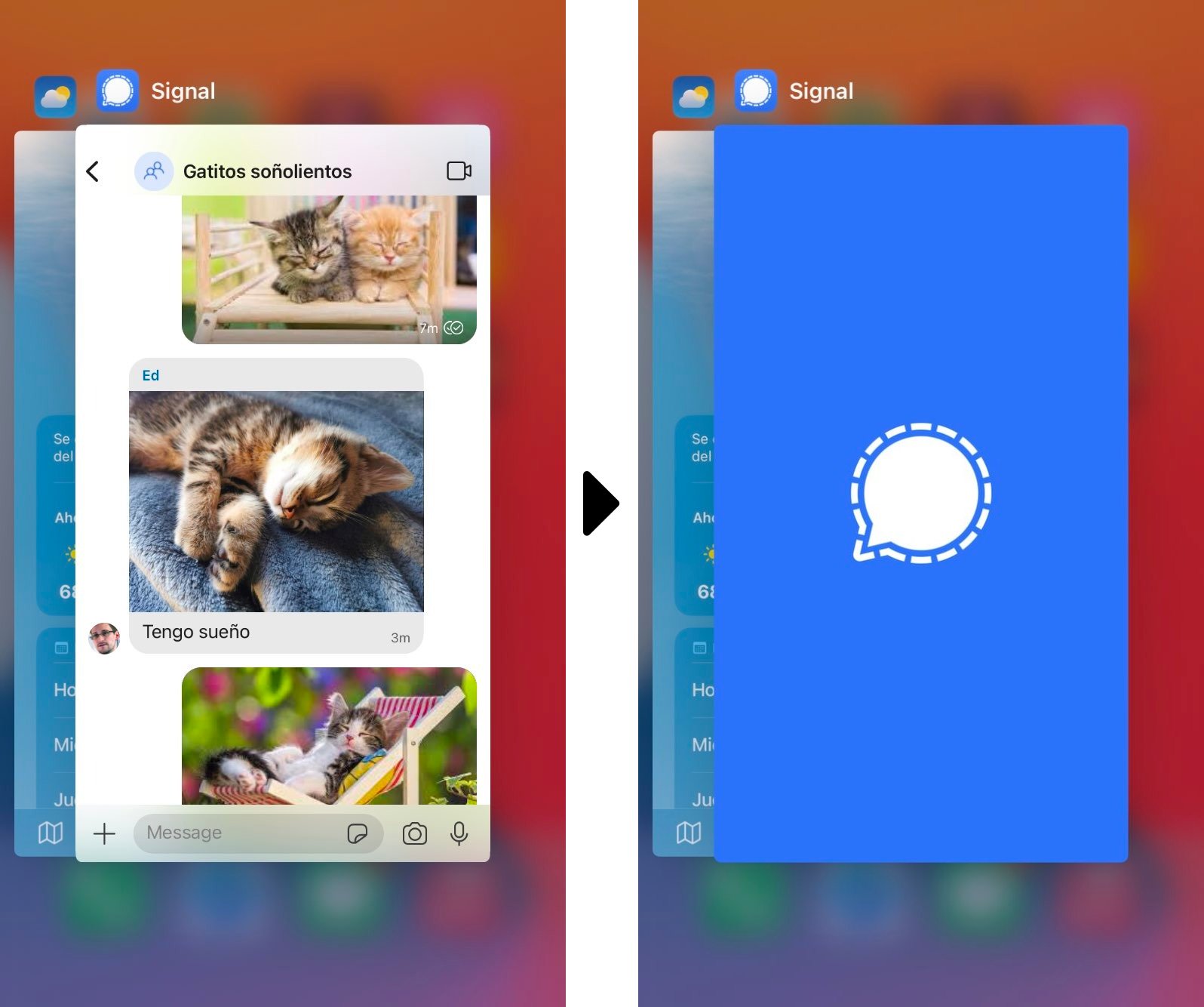 Screenshot of app switching in iOS and Android with Signal in the foreground