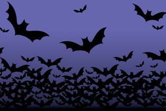 Dozens of illustrated bats in flight over a purple background