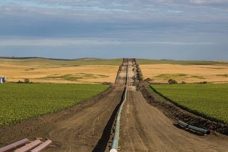 dapl