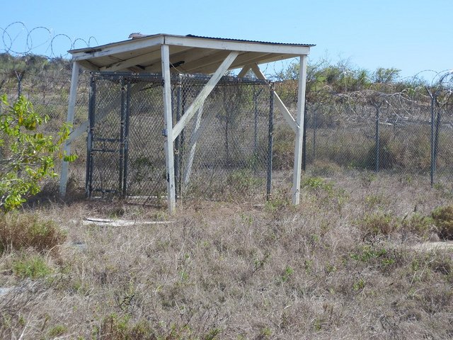 isolation%20cell.jpg