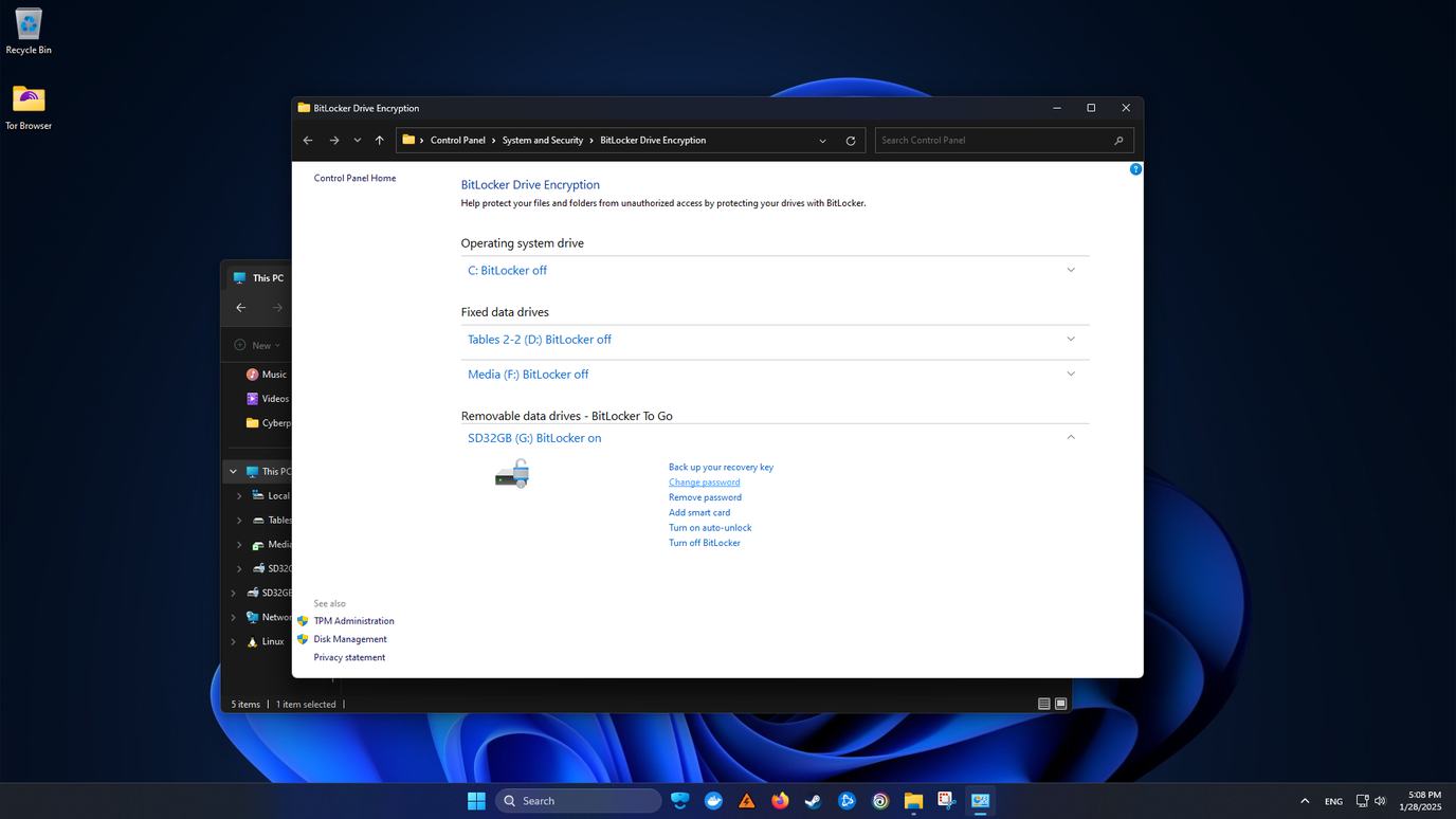 Manage BitLocker options