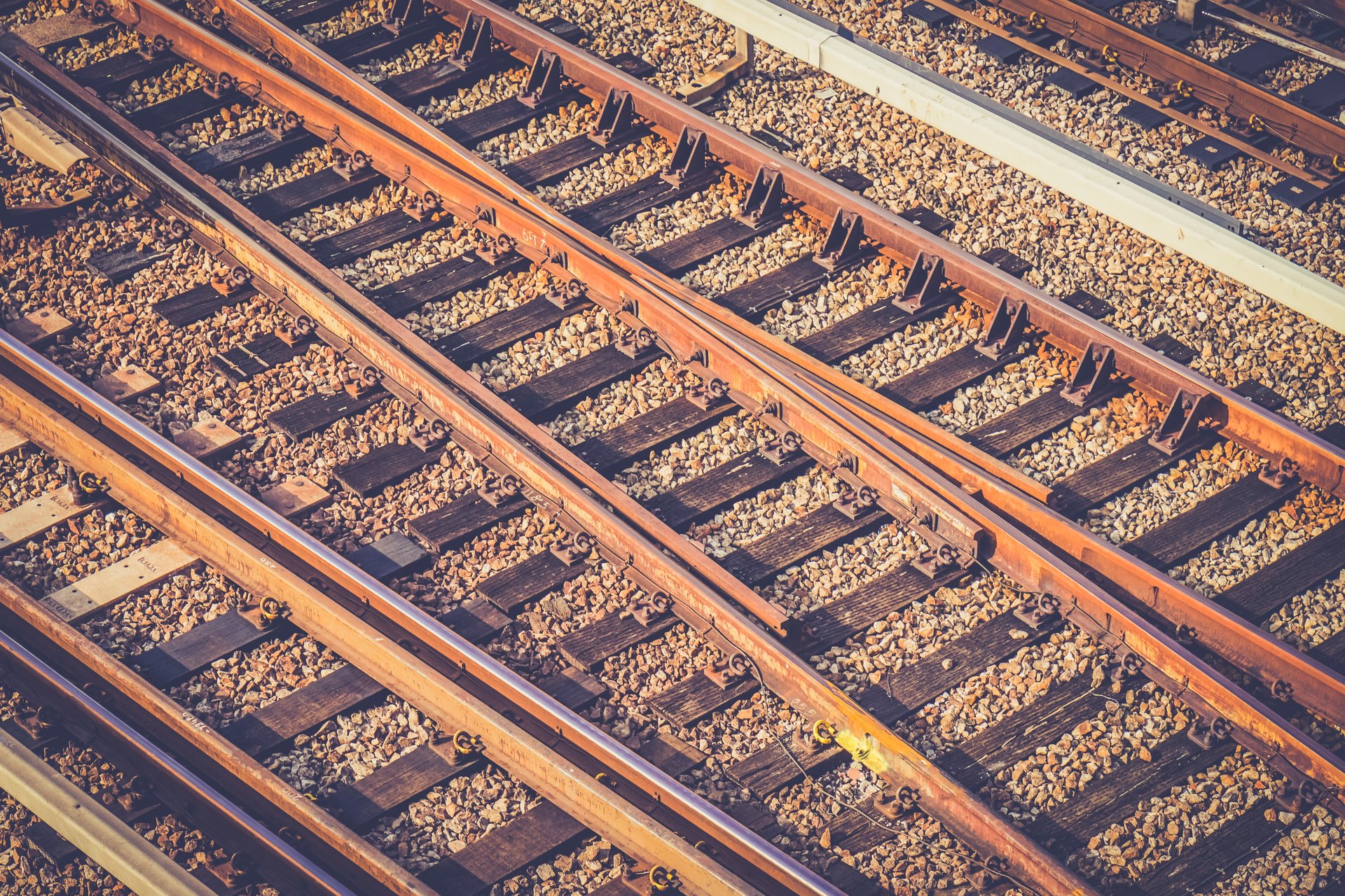 Track The News