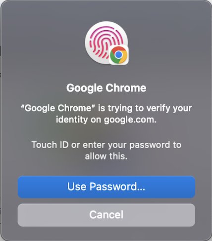 Prompt that says "Google Chrome is trying to verify your identity on google.com" and asking the user to type in their password or use their fingerprint to confirm