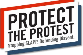 Protest the Protest