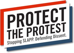 Protest the Protest